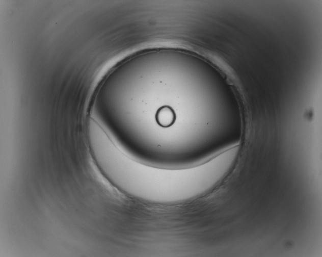 X0000115481380200911201830