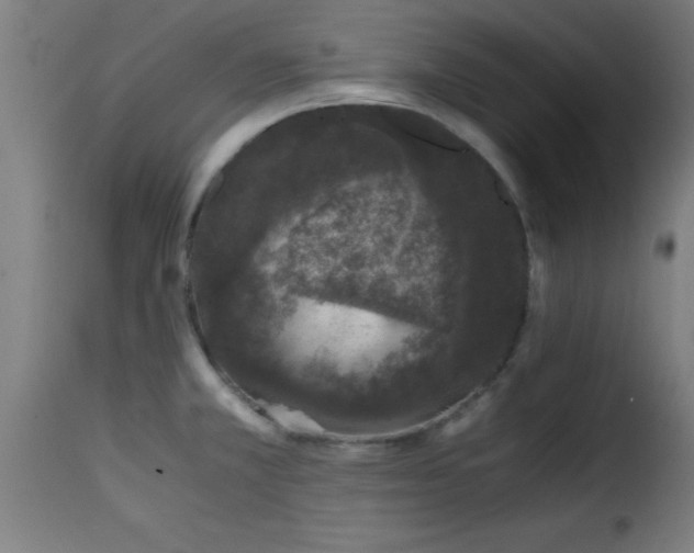 X0000115481381200911201830