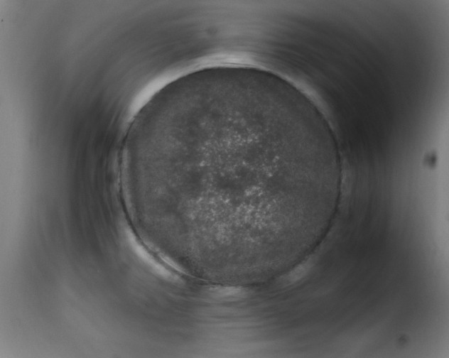 X0000115481382200911201829