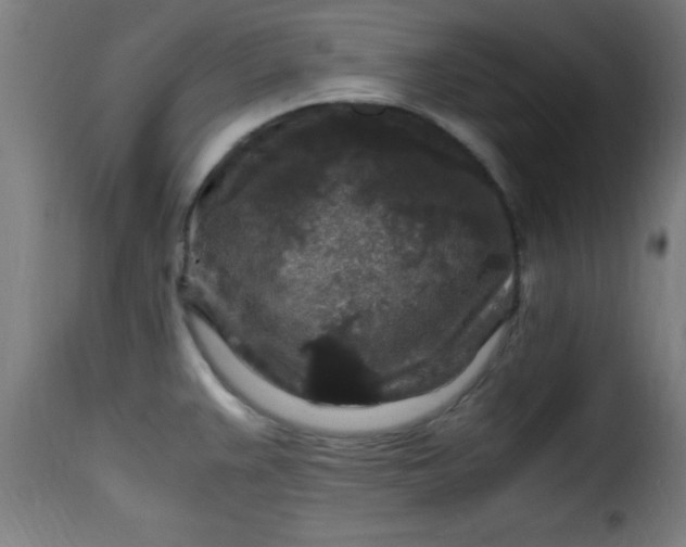 X0000115481383200911201829