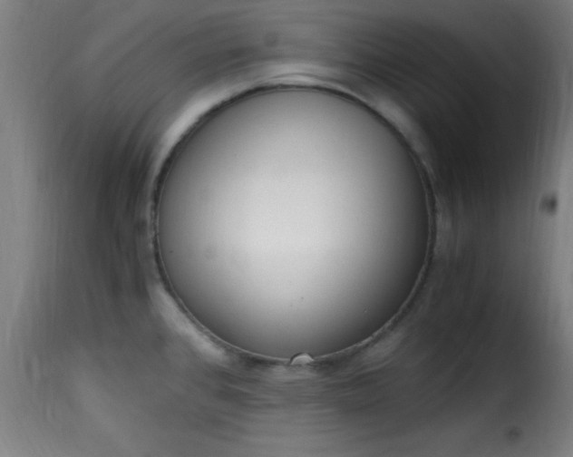 X0000115481384200911201829