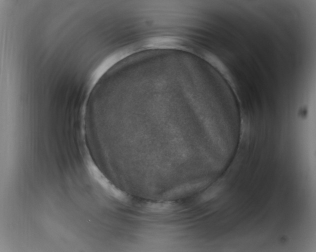 X0000115481386200911201829