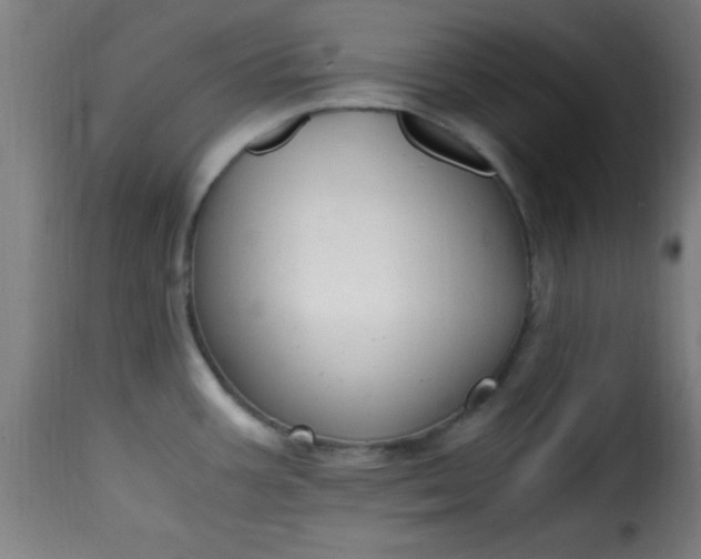 X0000115481387200911201829