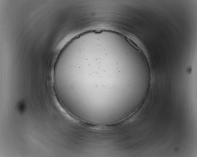 X0000115481388200911201829