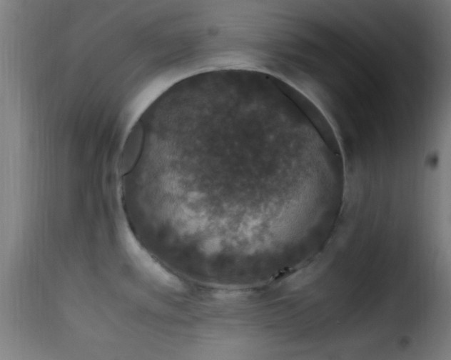 X0000115481389200911201829