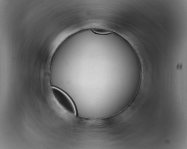 X0000115481392200911201829