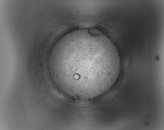 X0000115481393200911201829