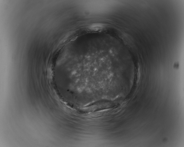 X0000115481394200911201829