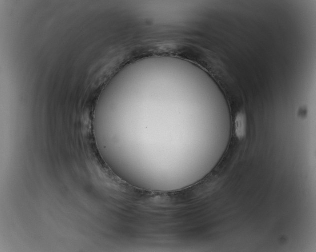 X0000115481395200911201829