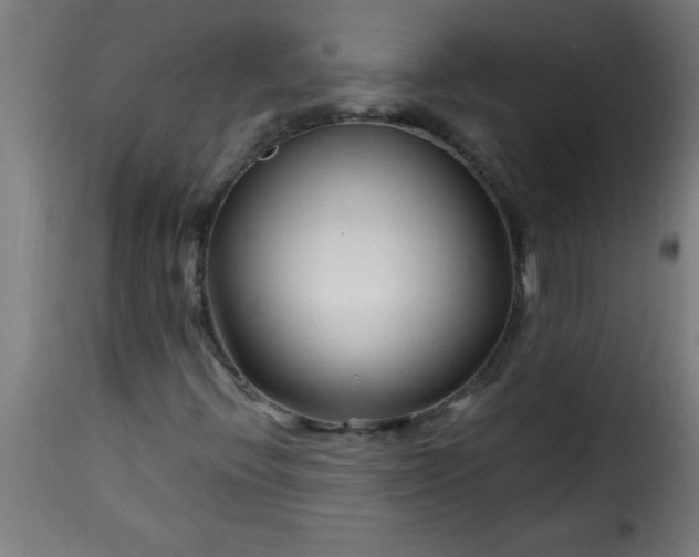 X0000115481396200911201829