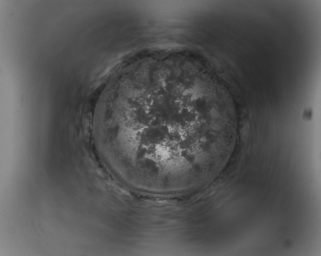 X0000115481397200911201829