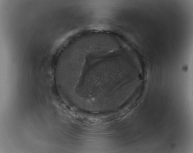 X0000115481398200911201829