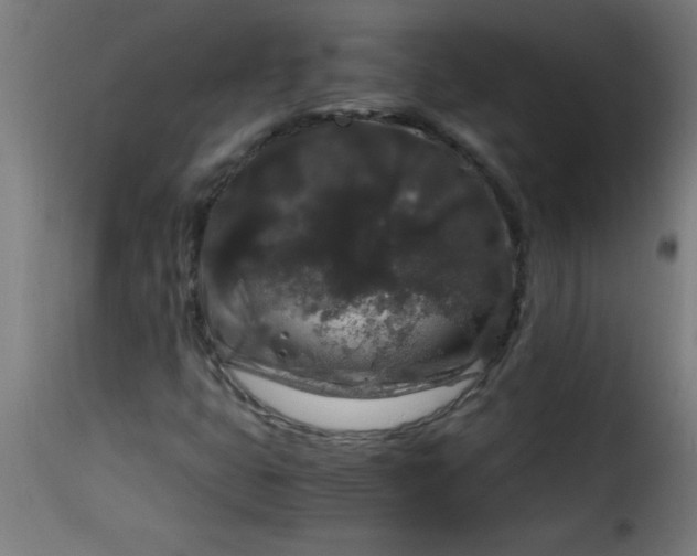 X0000115481399200911201829