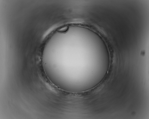 X0000115481400200911201829