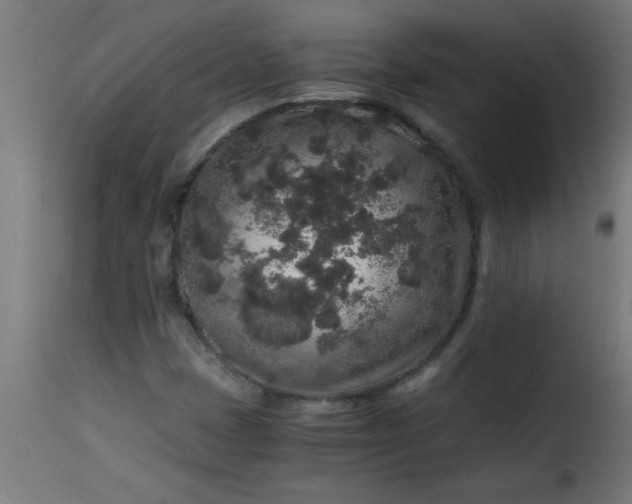 X0000115481401200911201829