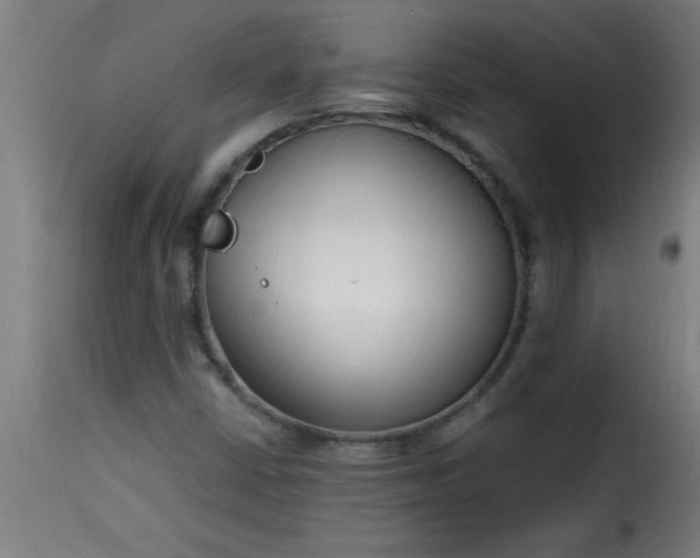 X0000115481402200911201829