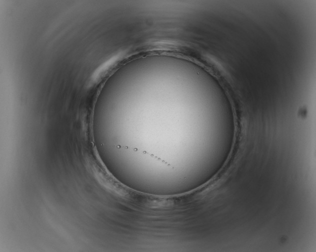 X0000115481403200911201829