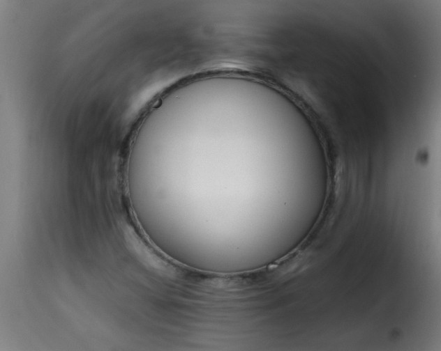 X0000115481404200911201829