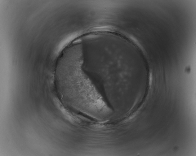 X0000115481405200911201829