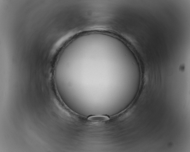 X0000115481406200911201829