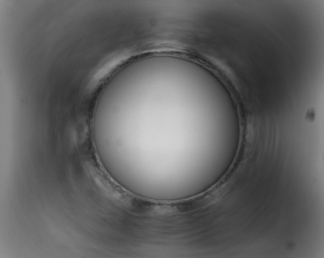 X0000115481407200911201829