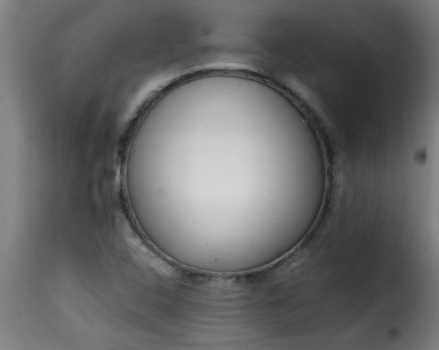 X0000115481408200911201829