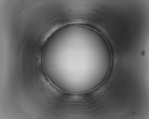 X0000115481409200911201829