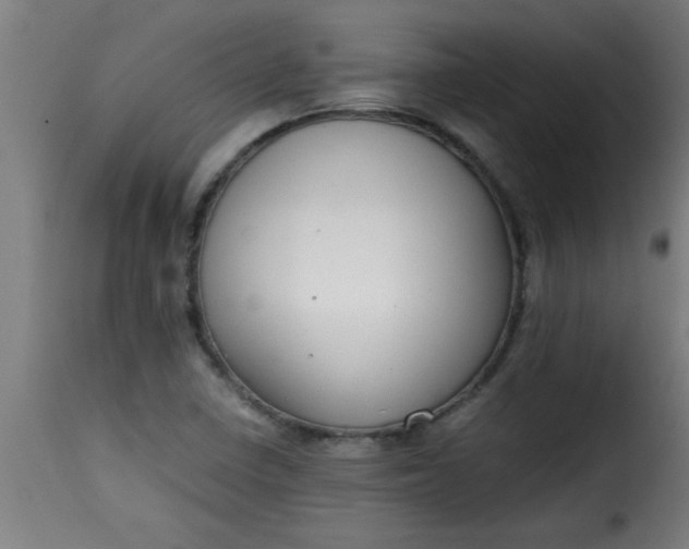 X0000115481410200911201829