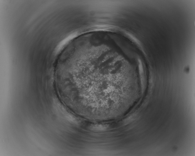 X0000115481411200911201829