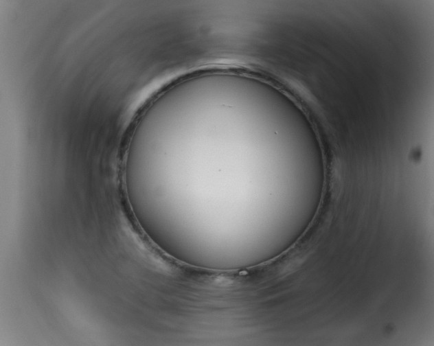 X0000115481412200911201829