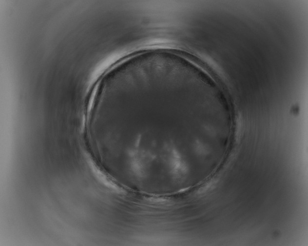 X0000115481413200911201829