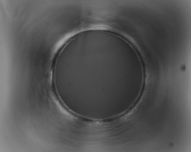 X0000115481414200911201829