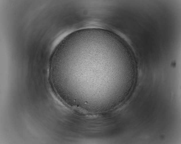 X0000115481415200911201829