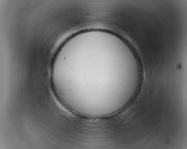 X0000115481416200911201829