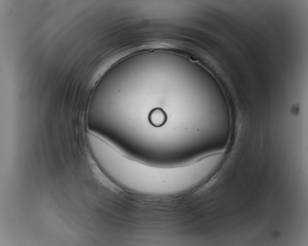 X0000115481417200911201829