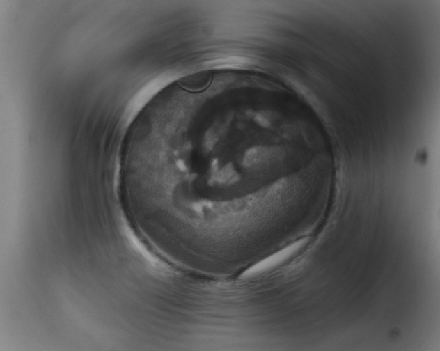 X0000115481418200911201829