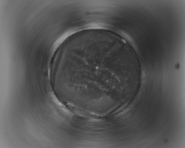 X0000115481419200911201829