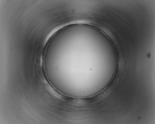 X0000115481420200911201829