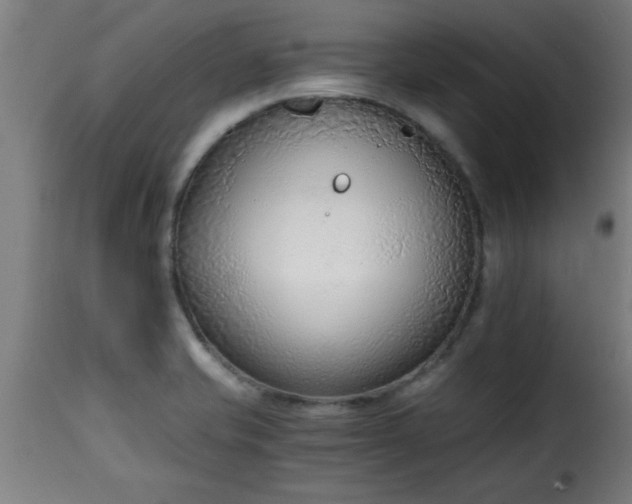 X0000115481421200911201829