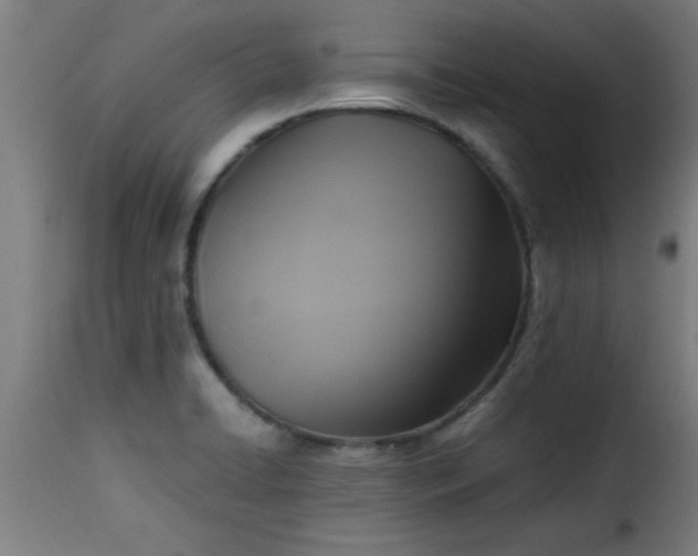 X0000115481422200911201829