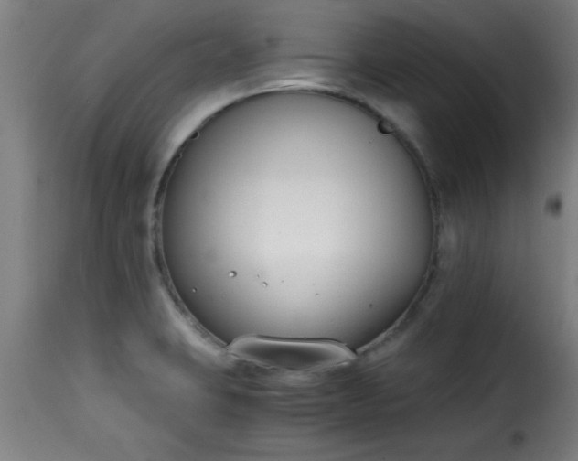 X0000115481423200911201829