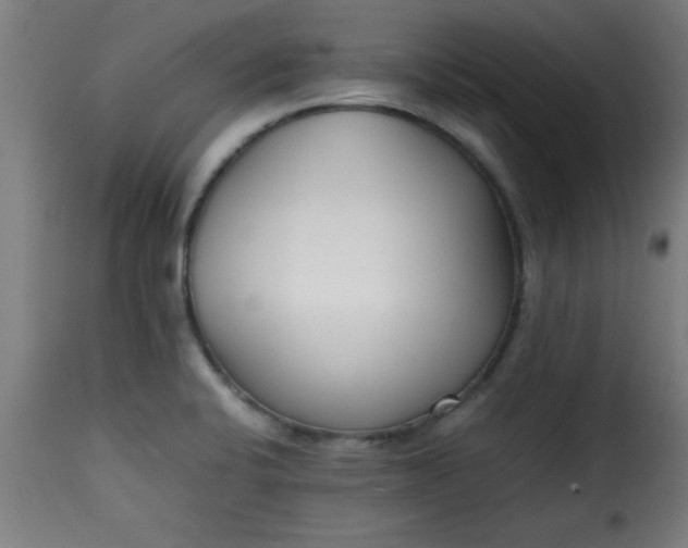 X0000115481424200911201829