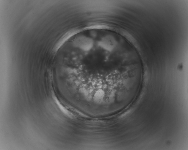 X0000115481425200911201829