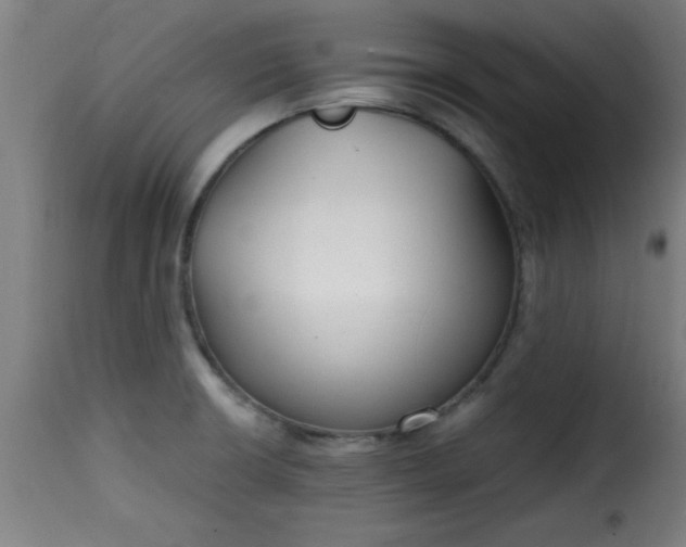 X0000115481426200911201829