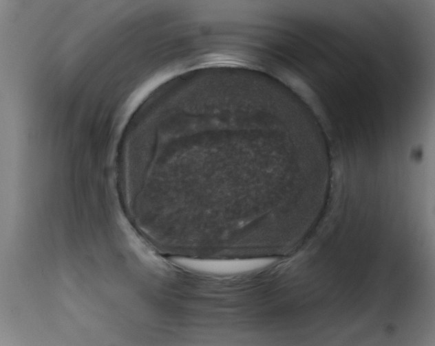 X0000115481427200911201829