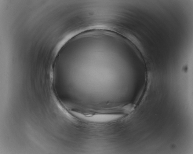 X0000115481428200911201829