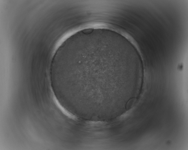 X0000115481429200911201829