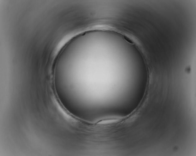 X0000115481430200911201829