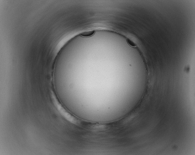 X0000115481431200911201829