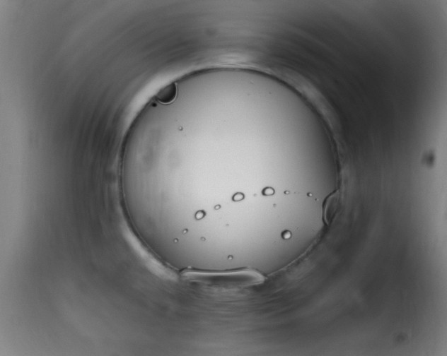 X0000115481432200911201829